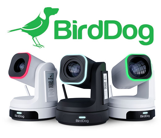 BirdDog